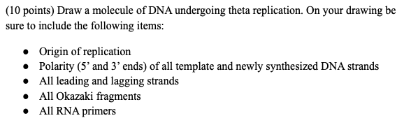 Solved (10 points) Draw a molecule of DNA undergoing theta | Chegg.com