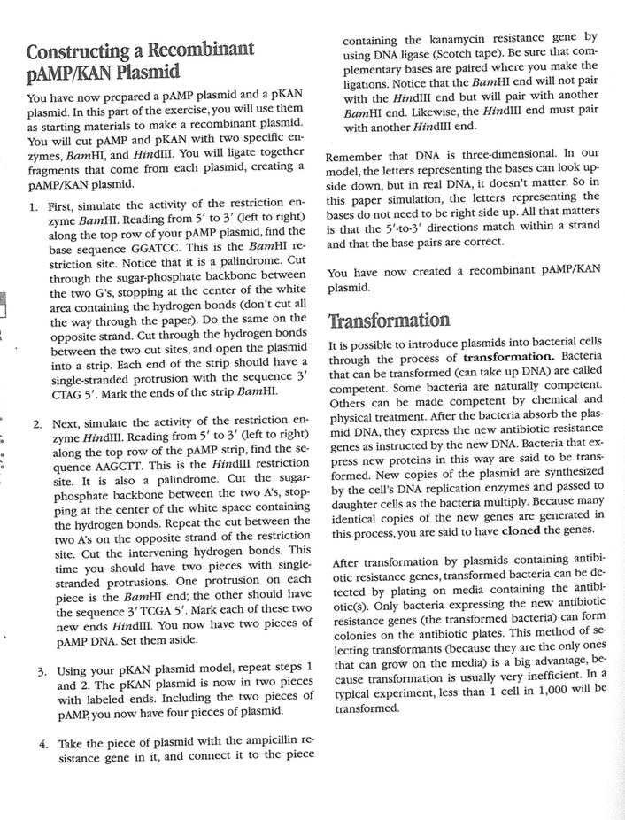 Student Activity Paper Plasmids 14