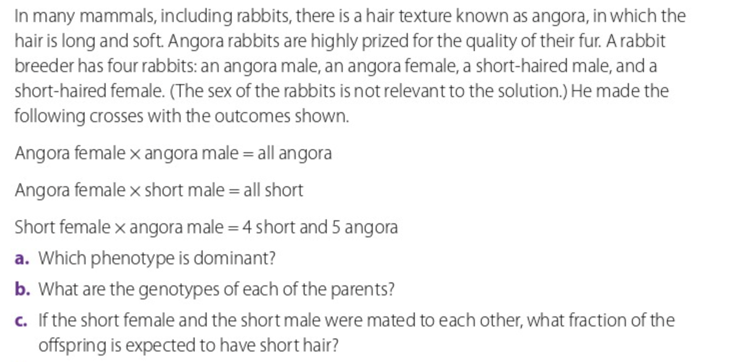 Solved In many mammals, including rabbits, there is a hair | Chegg.com