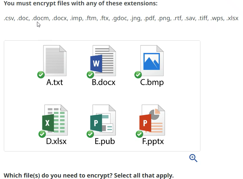 what files need to be encrypted with extensions?
