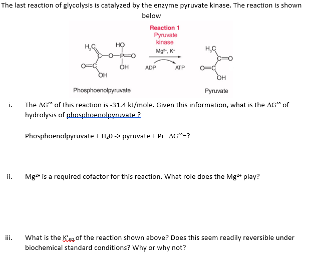 The last reaction of glycolysis is catalyzed by the enzyme pyruvate kinase. The reaction is shown
below
Reaction 1
Pyruvate
k