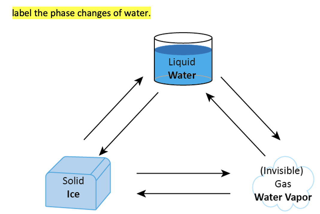 Solved label the phase changes of water. | Chegg.com