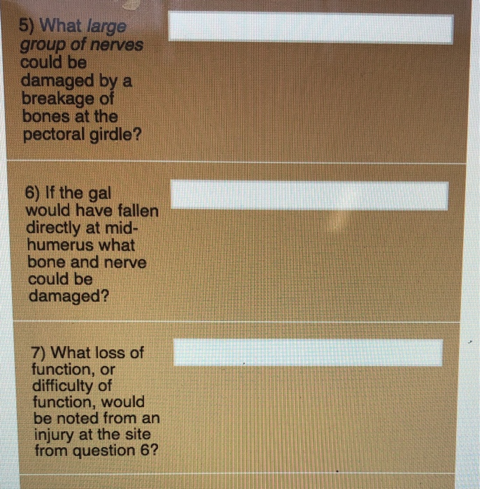 Solved A 17 year old female presents herself to her GP with | Chegg.com