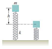 Solved A 0.8 kg mass is attached to the top of a vertical | Chegg.com