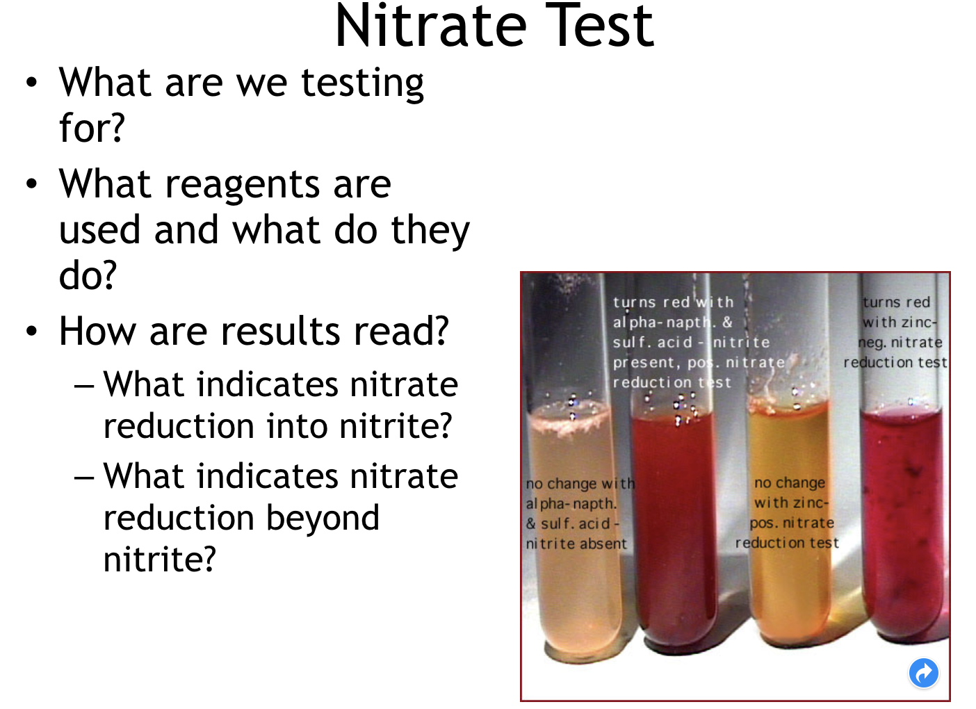 Solved Nitrate Test What are we testing for? What reagents