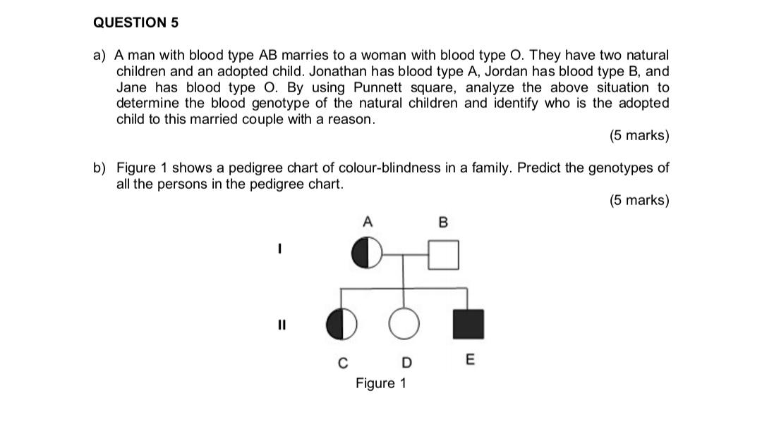 Solved Question 5 A A Man With Blood Type Ab Marries To A Chegg Com