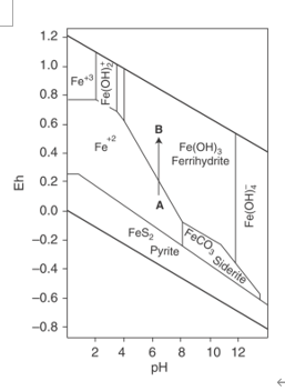 Solved Q12. You find a sample has high concentrations of | Chegg.com