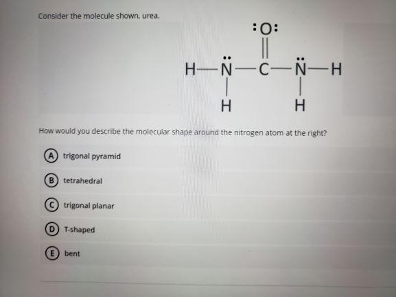 Solved Consider The Molecule Shown Urea 10 H N C H I Chegg Com