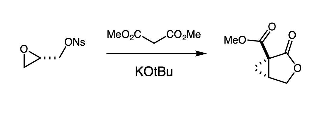 Solved MeO2CCO2Me KOtBu | Chegg.com