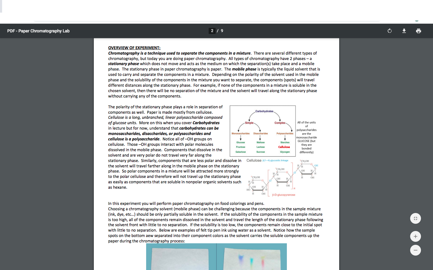 paper-chromatography