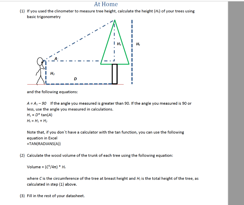 (1) If you used the clinometer to measure tree