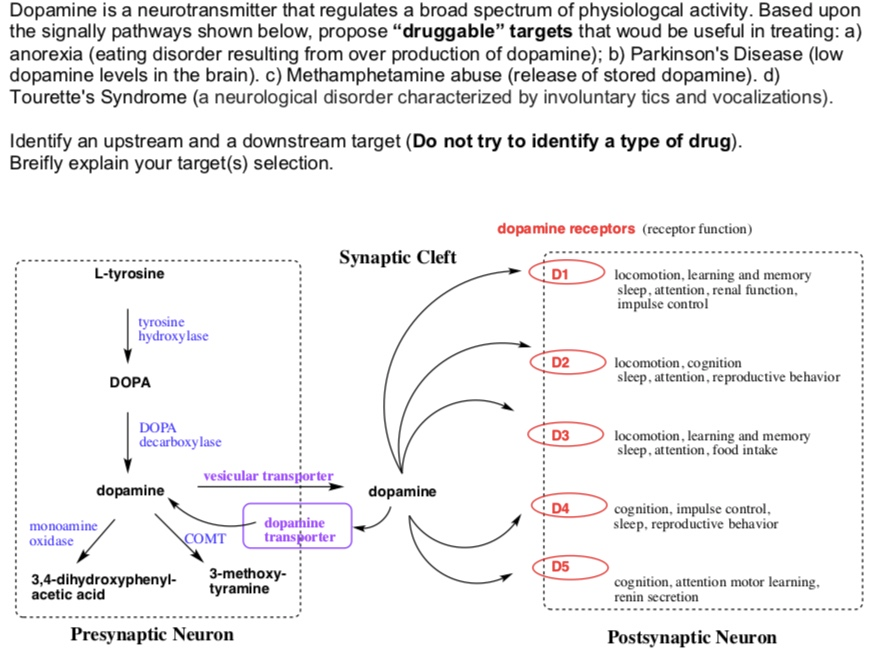 Dopamine Is A Neurotransmitter That Regulates A Broad | Chegg.com