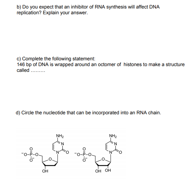 Solved B) Do You Expect That An Inhibitor Of RNA Synthesis | Chegg.com