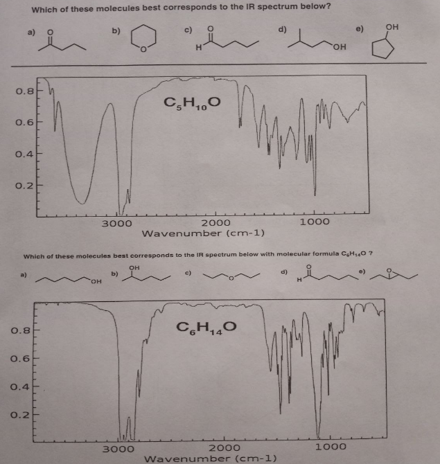 Solved Which of these molecules best corresponds to the IR | Chegg.com