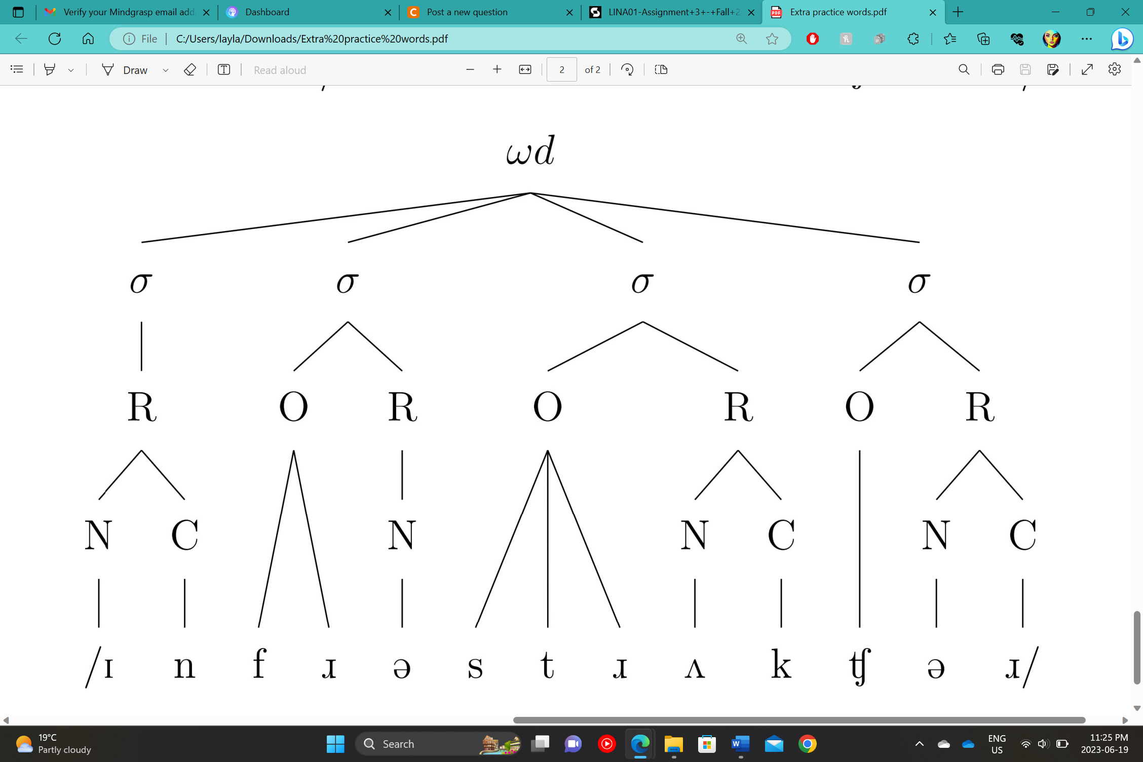 Draw the syllabic structure (syllable trees) for the
