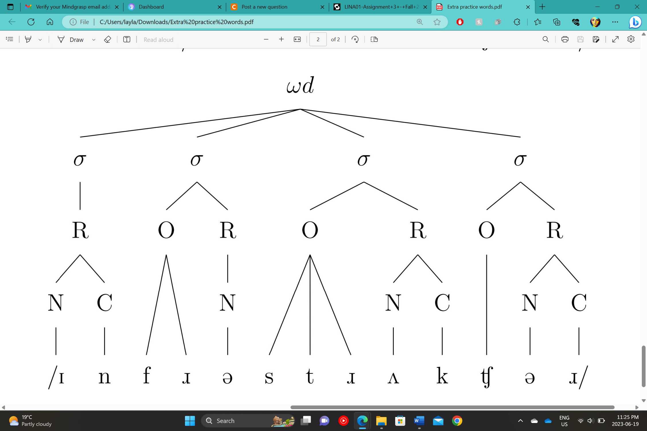 Draw the syllabic structure (syllable trees) for the | Chegg.com