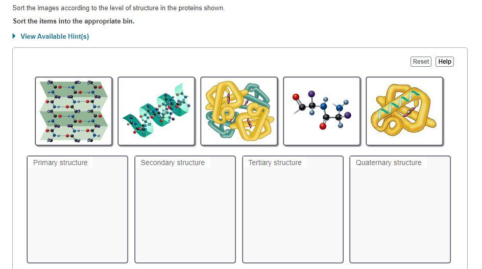 Solved Sort the images according to the level of structure