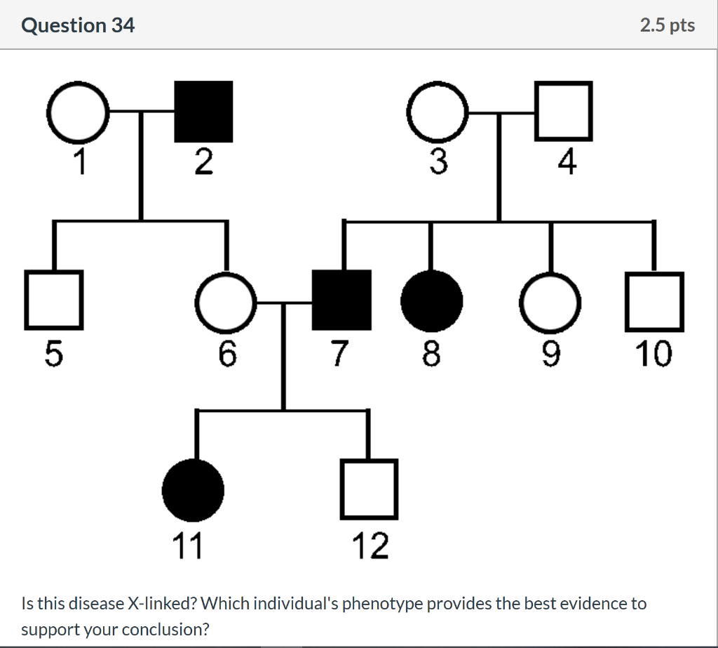 Solved Question 32 2.5 pts Binary fission is more like | Chegg.com