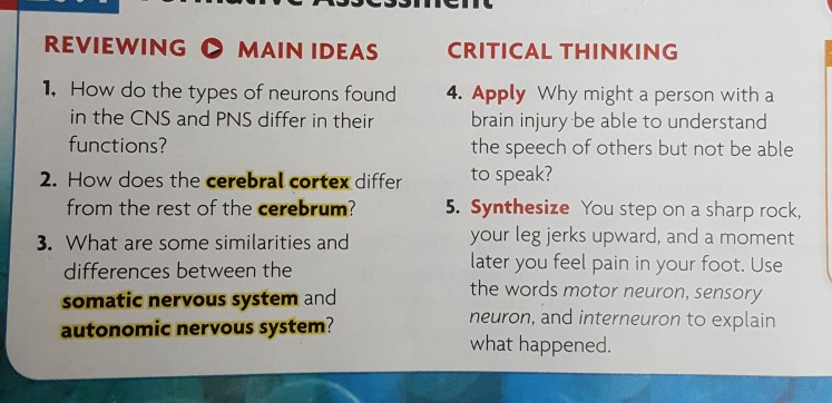 critical thinking questions about neurons