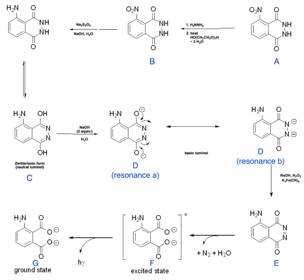In the scheme above, the key event in the