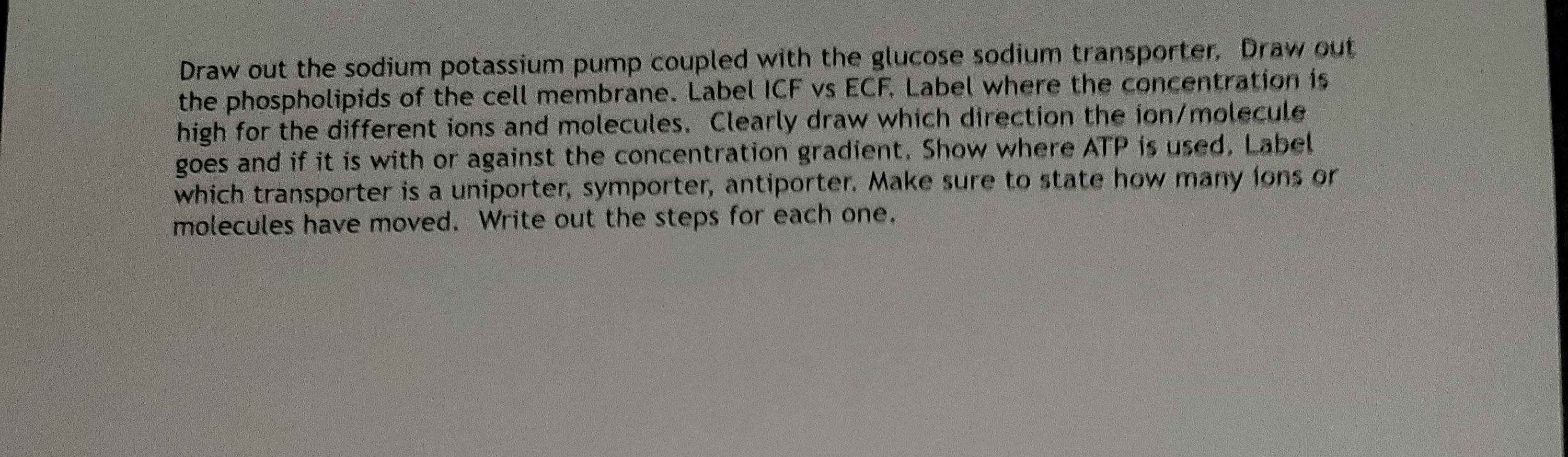 Solved Draw out the sodium potassium pump coupled with the | Chegg.com