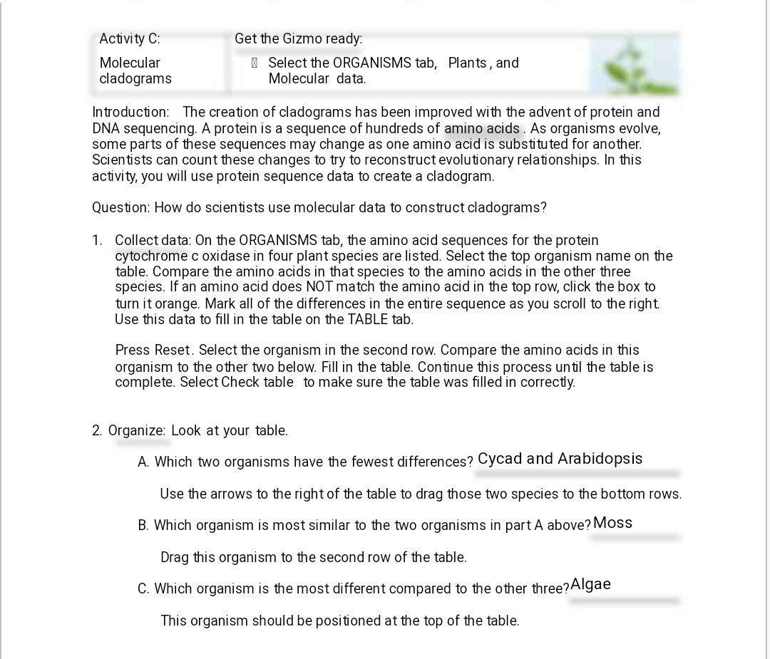 solved-activity-c-molecular-cladograms-get-the-gizmo-ready-chegg