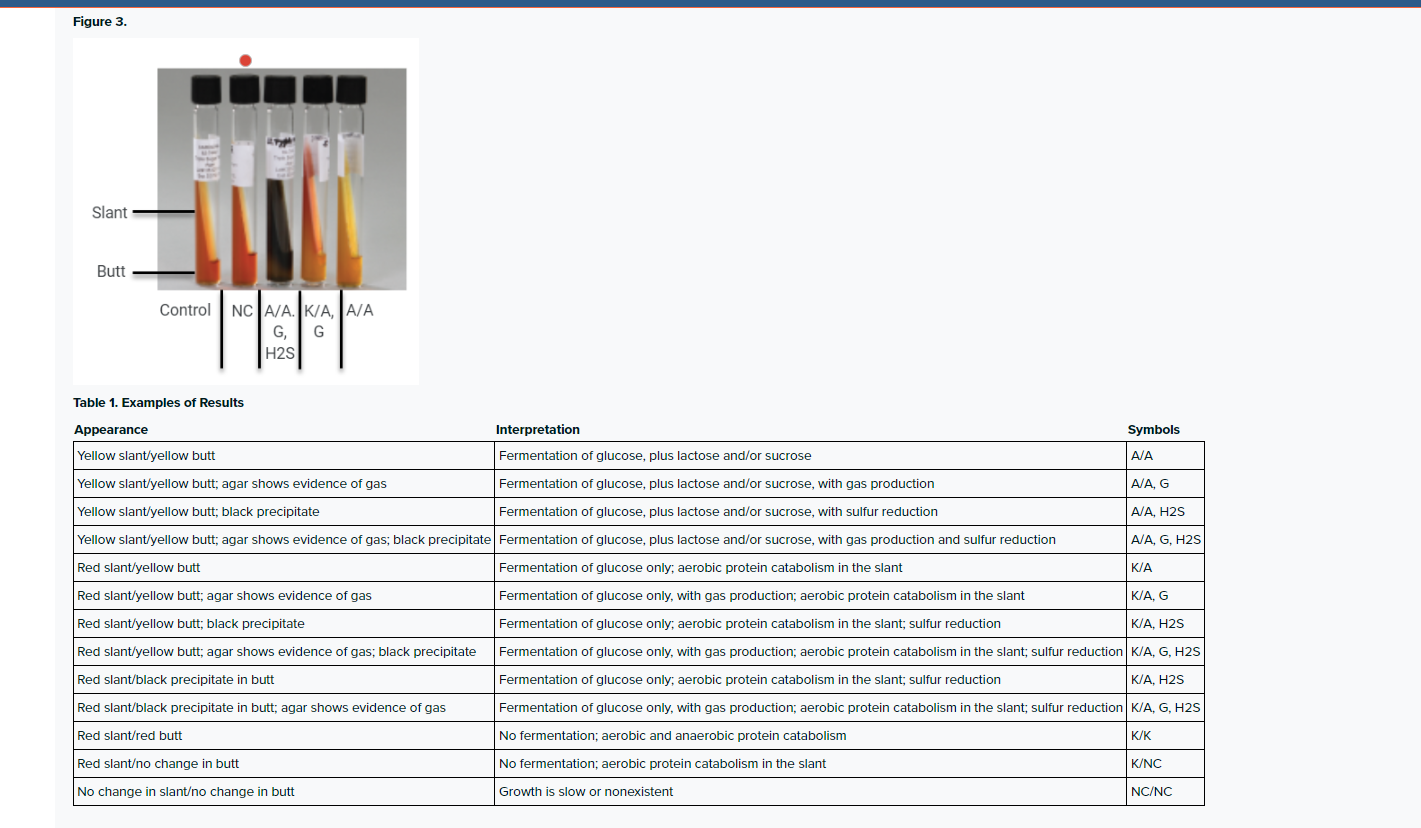 solved-table-1-examples-of-resultskey-to-symbols-what-is-chegg