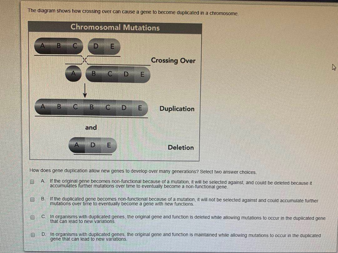 Solved The diagram shows how crossing over can cause a gene | Chegg.com