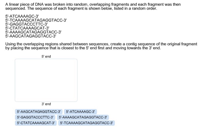 Solved A linear piece of DNA was broken into random, | Chegg.com