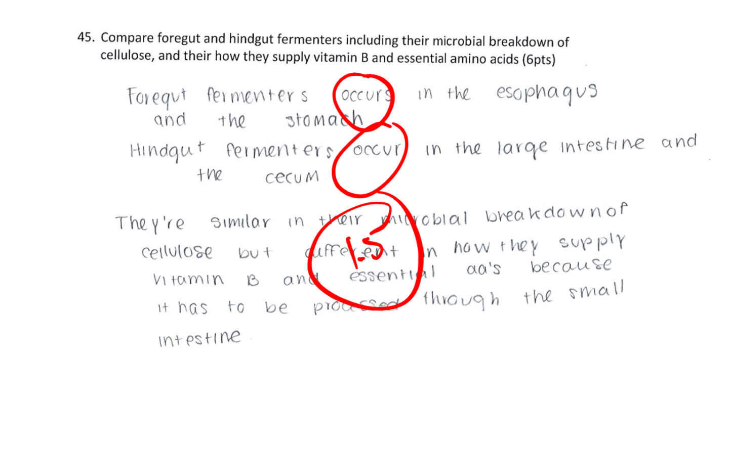 solved-45-compare-foregut-and-hindgut-fermenters-including-chegg