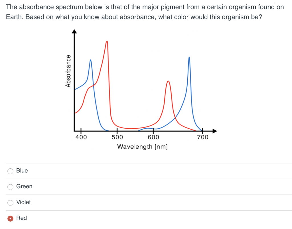 solved-the-absorbance-spectrum-below-is-that-of-the-major-chegg