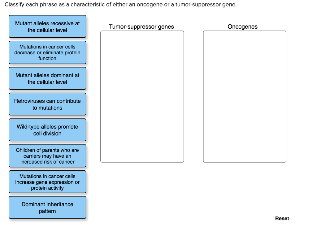 Solved Classify each phrase as a characteristic of either an | Chegg.com