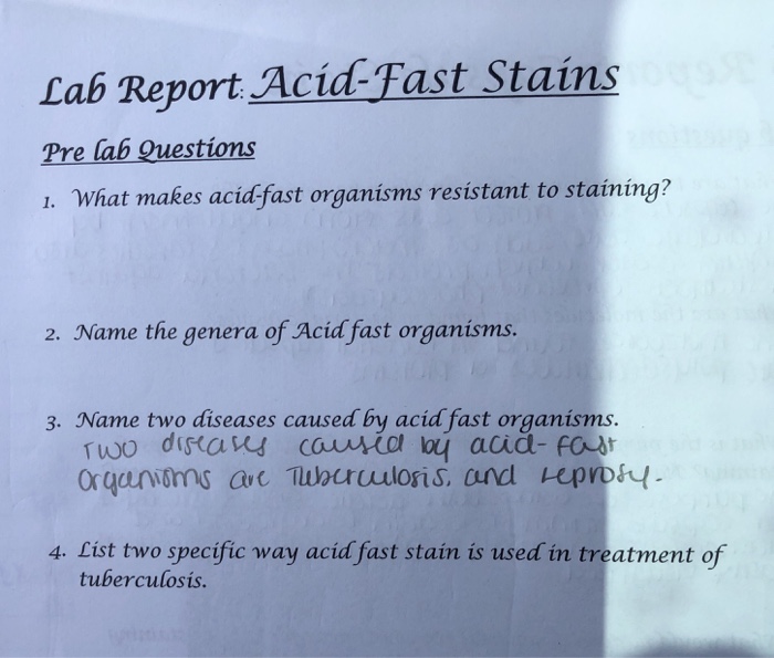 Solved Lab Report AcidFast Stains Pre lab Questions 1·