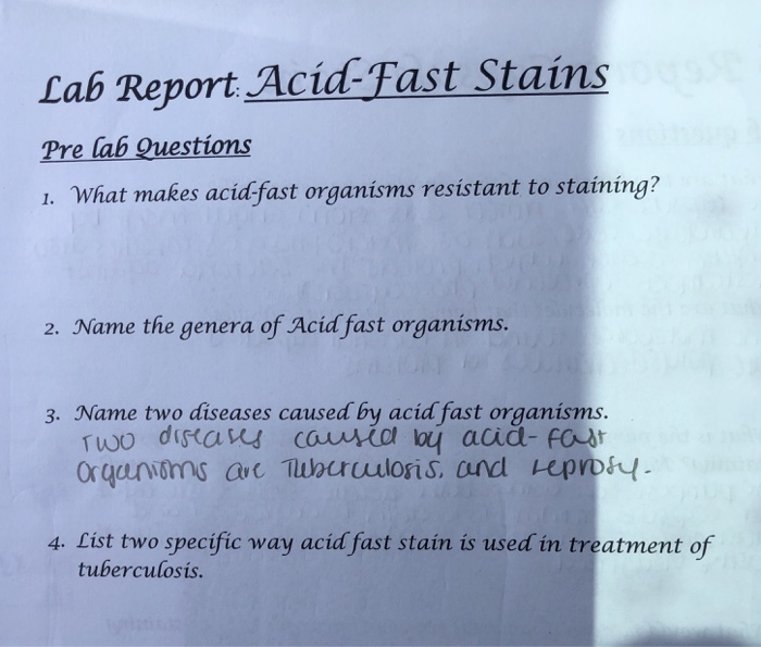 Solved Lab Report Acid-Fast Stains Pre Lab Questions 1· | Chegg.com