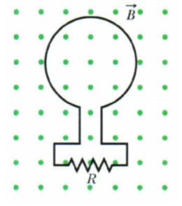 Solved The figure shows a conducting loop in a uniform | Chegg.com