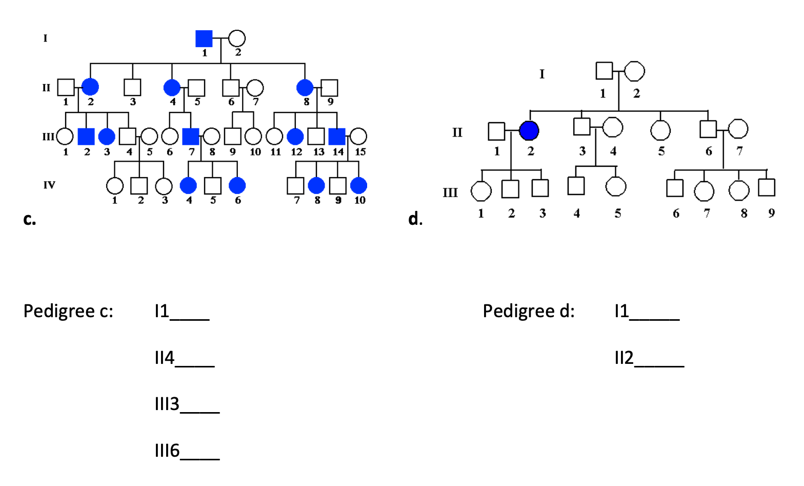 Solved See the Pedigree PDF attached. For each pedigree what | Chegg.com