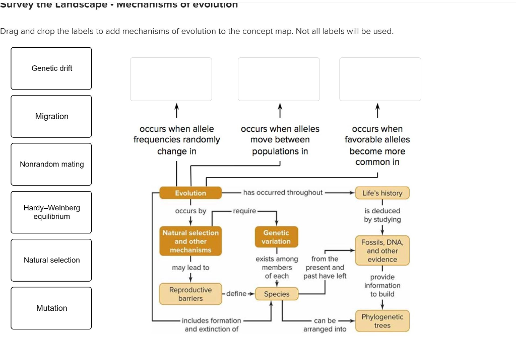 Evidence Of Evolution Concept Map - Kaleb Watson