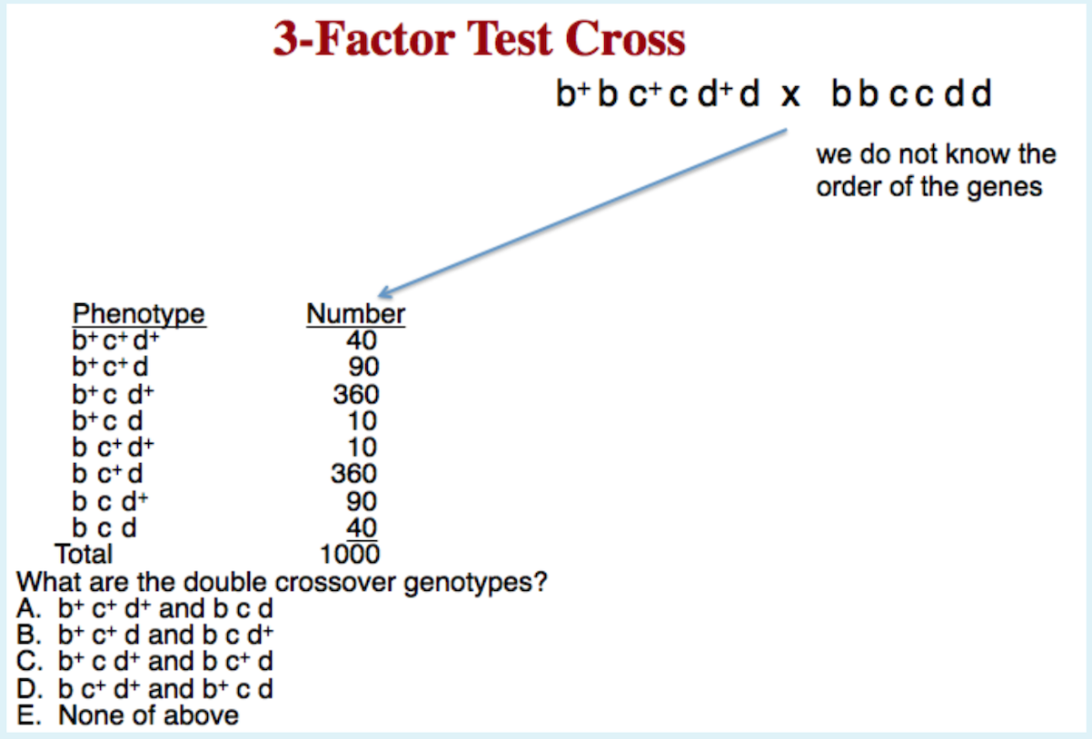 Solved 3-Factor Test Cross B+b Ctcd+d X Bbccdd We Do Not | Chegg.com