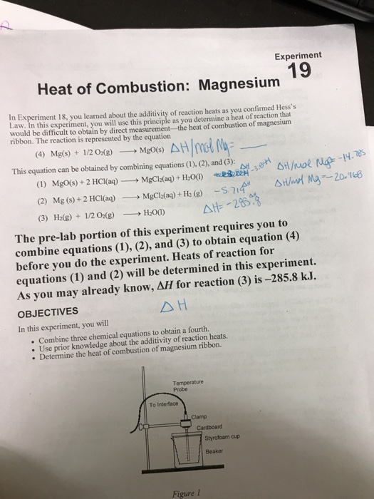 magnesium combustion experiment