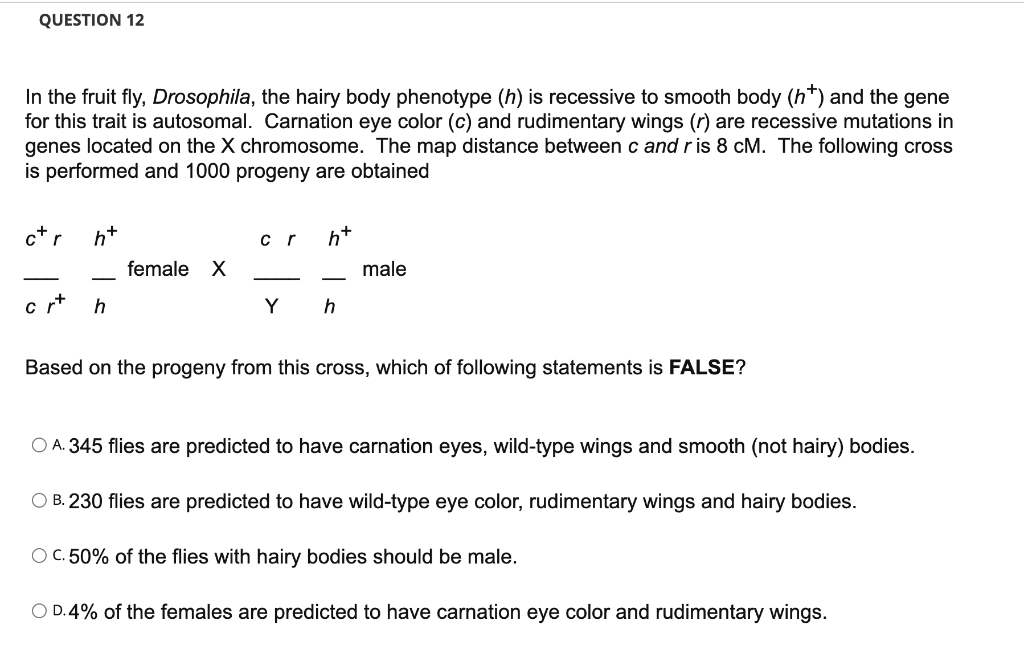 Solved QUESTION 12 In the fruit fly, Drosophila, the hairy | Chegg.com