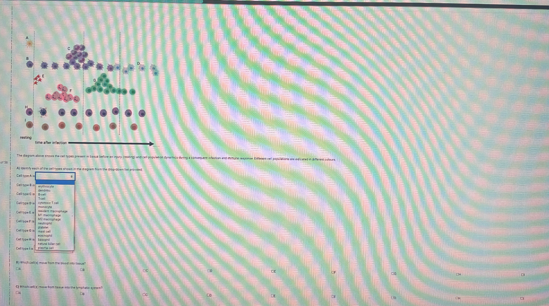 Solved Please answer part A) , ﻿B) ﻿and C) ﻿thank you | Chegg.com