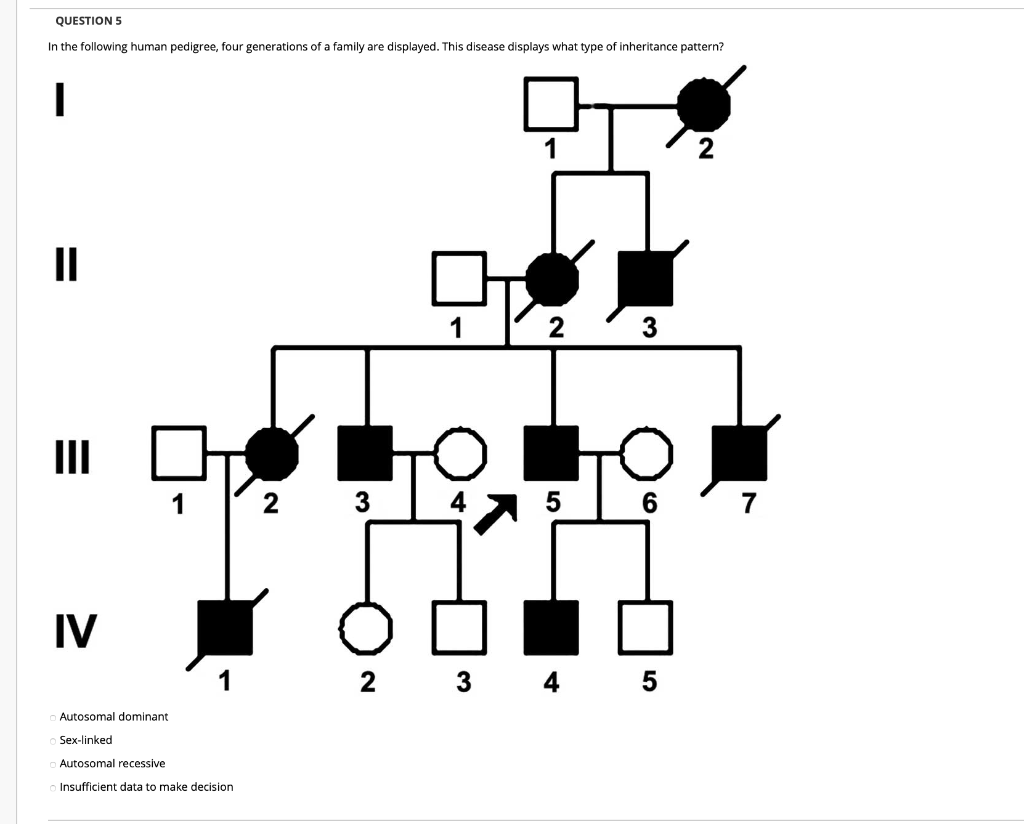 Solved In the following human pedigree, four generations of | Chegg.com