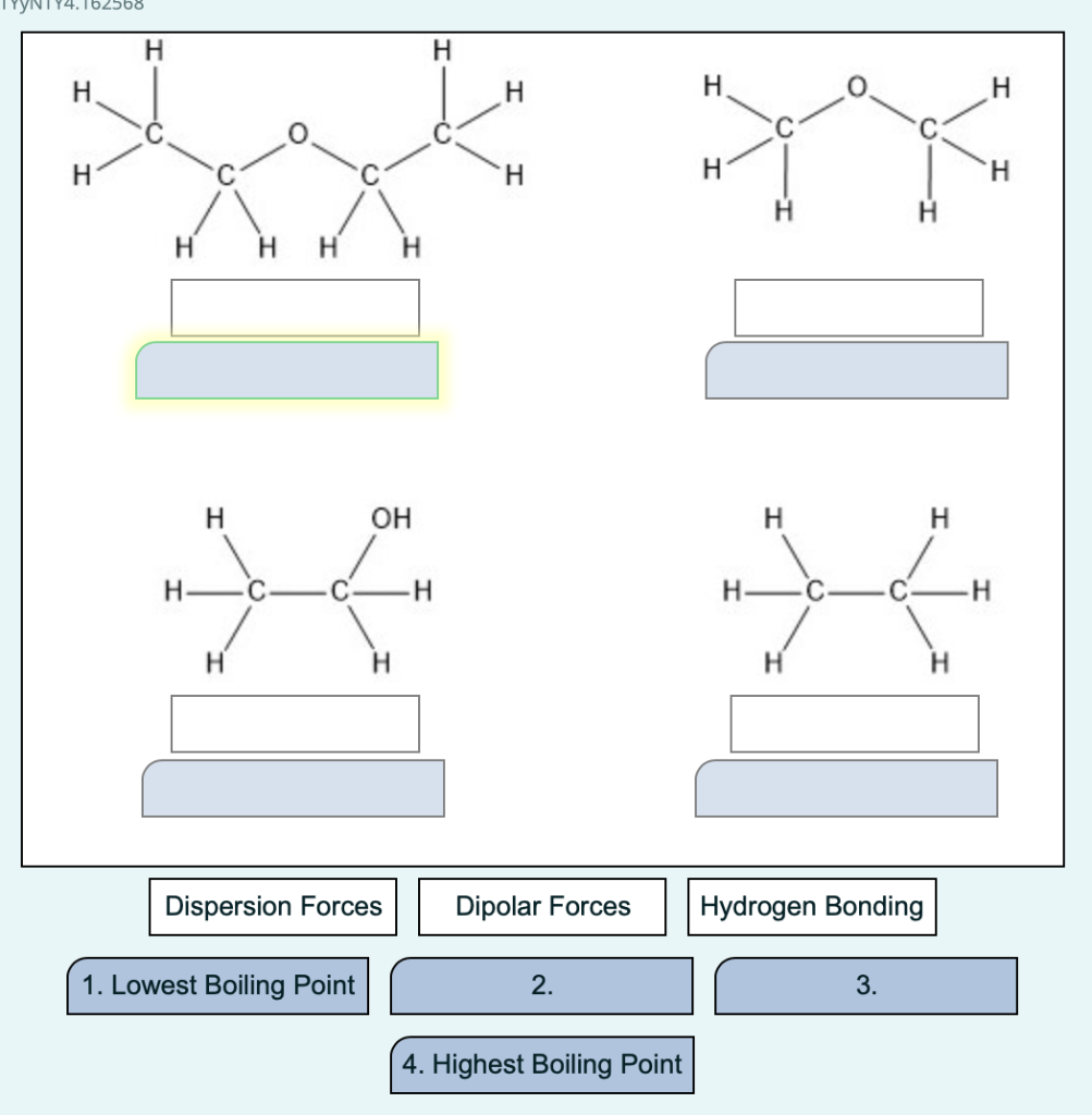 Solved Consider The Molecules In The Image Below. Complete | Chegg.com