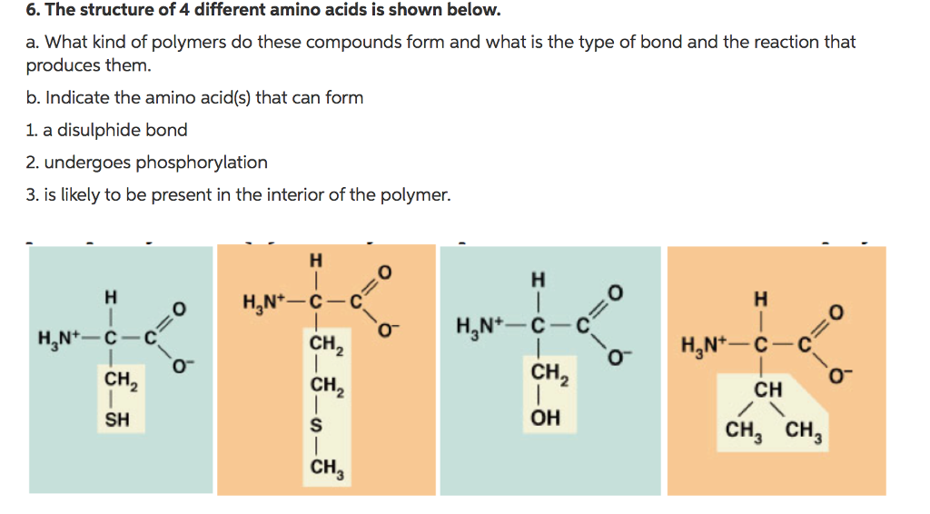 Polymers Of Amino Acids slidesharetrick