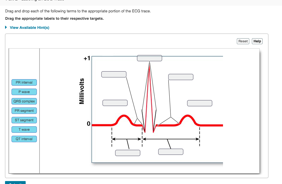 Solved Drag and drop each of the following terms to the