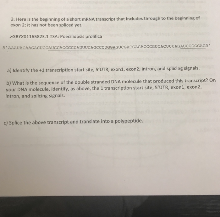 Solved 2. Here is the beginning of a short mRNA transcript | Chegg.com