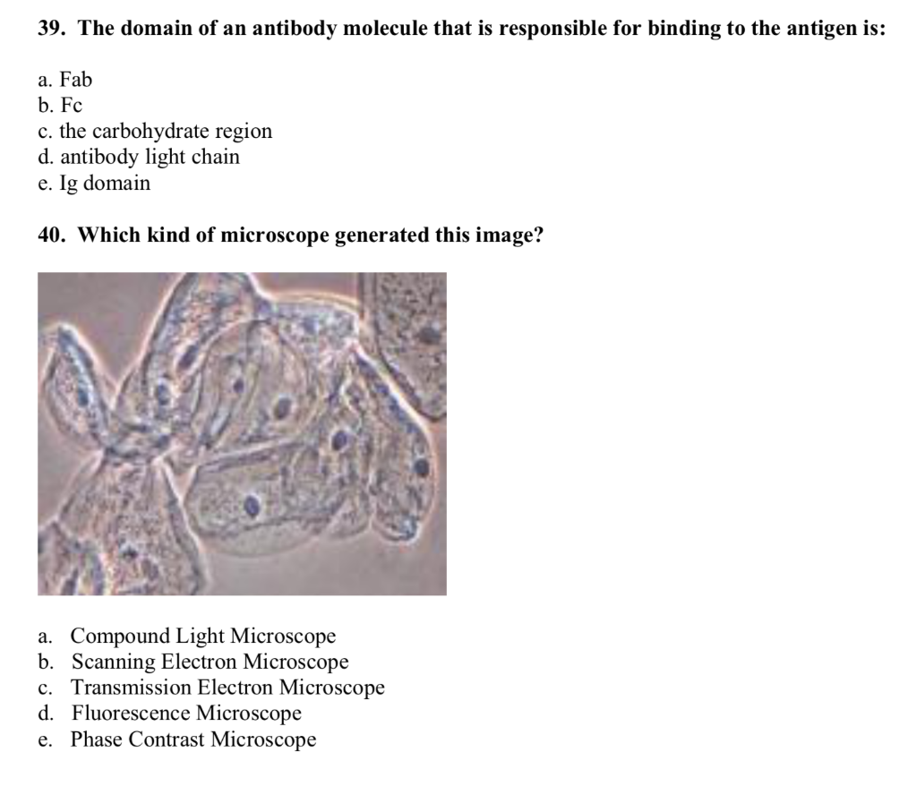 Solved 39 The Domain Of An Antibody Molecule That Is Res Chegg Com