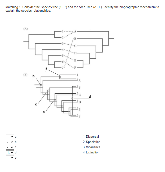 Solved Matching 1. Consider the Species tree (1 - 7) and the | Chegg.com
