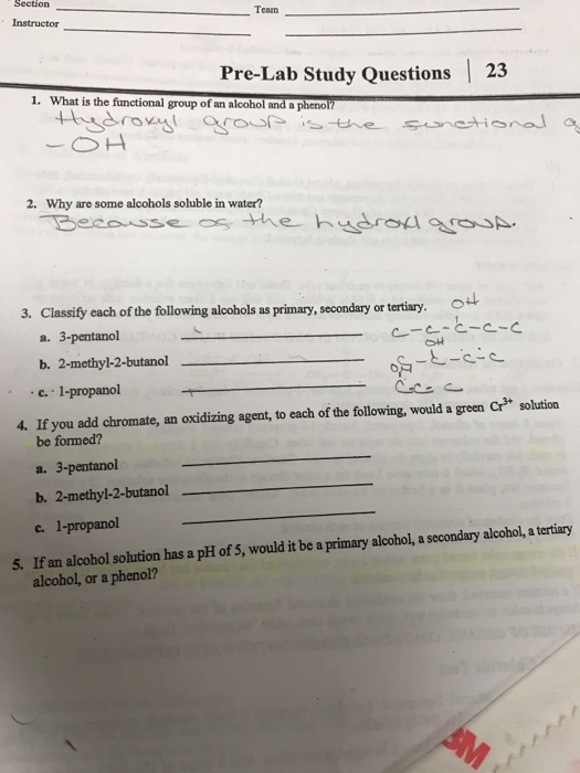 Solved Team Instructor PreLab Study Questions 23 1. What