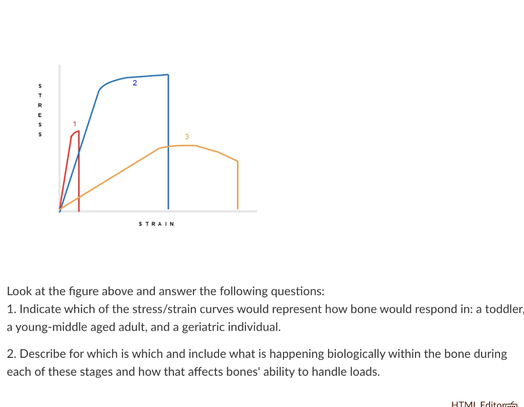 Solved 2 R E s s 1 3 STRAIN Look at the figure above and | Chegg.com